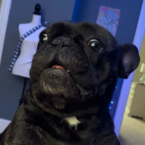 Meet your Posher, Grace